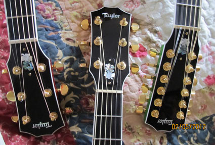 WEC Inlay - Shamrock Truss Covers